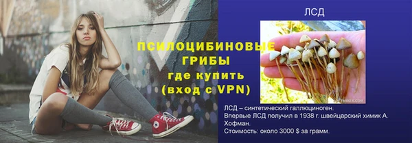 скорость mdpv Новодвинск