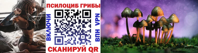 Галлюциногенные грибы MAGIC MUSHROOMS  MEGA онион  Подпорожье  купить  цена 